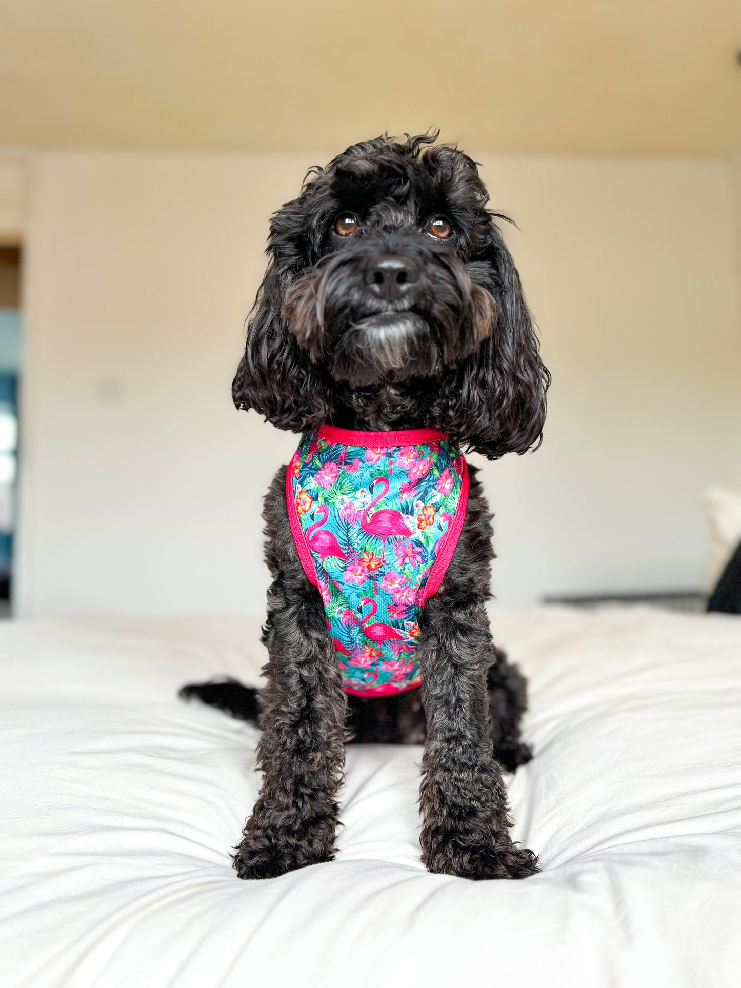 The Tropical Pawradise Cooling Vest