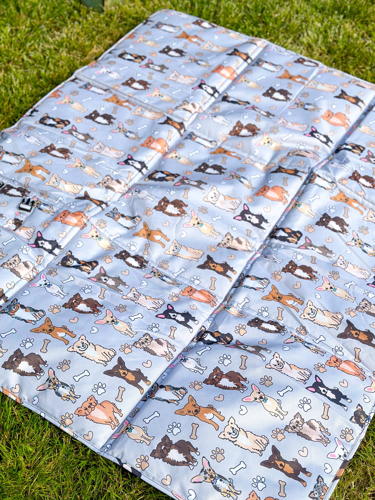 The Chihuahua Picnic Mat