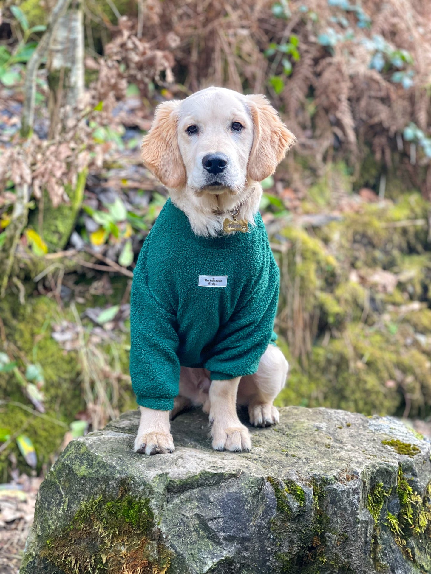 Teddy Fleece - Forest Green