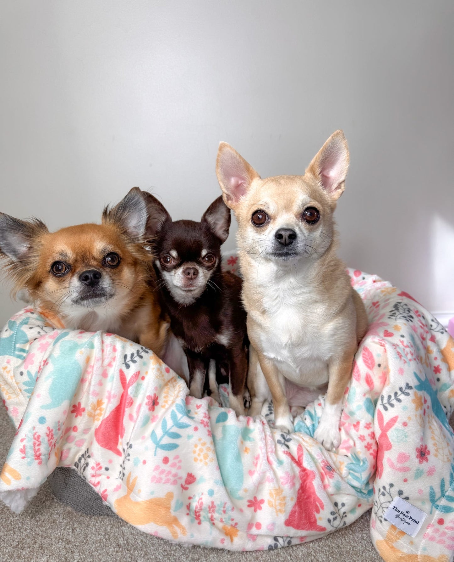 Hop into Bloom Dog Blanket