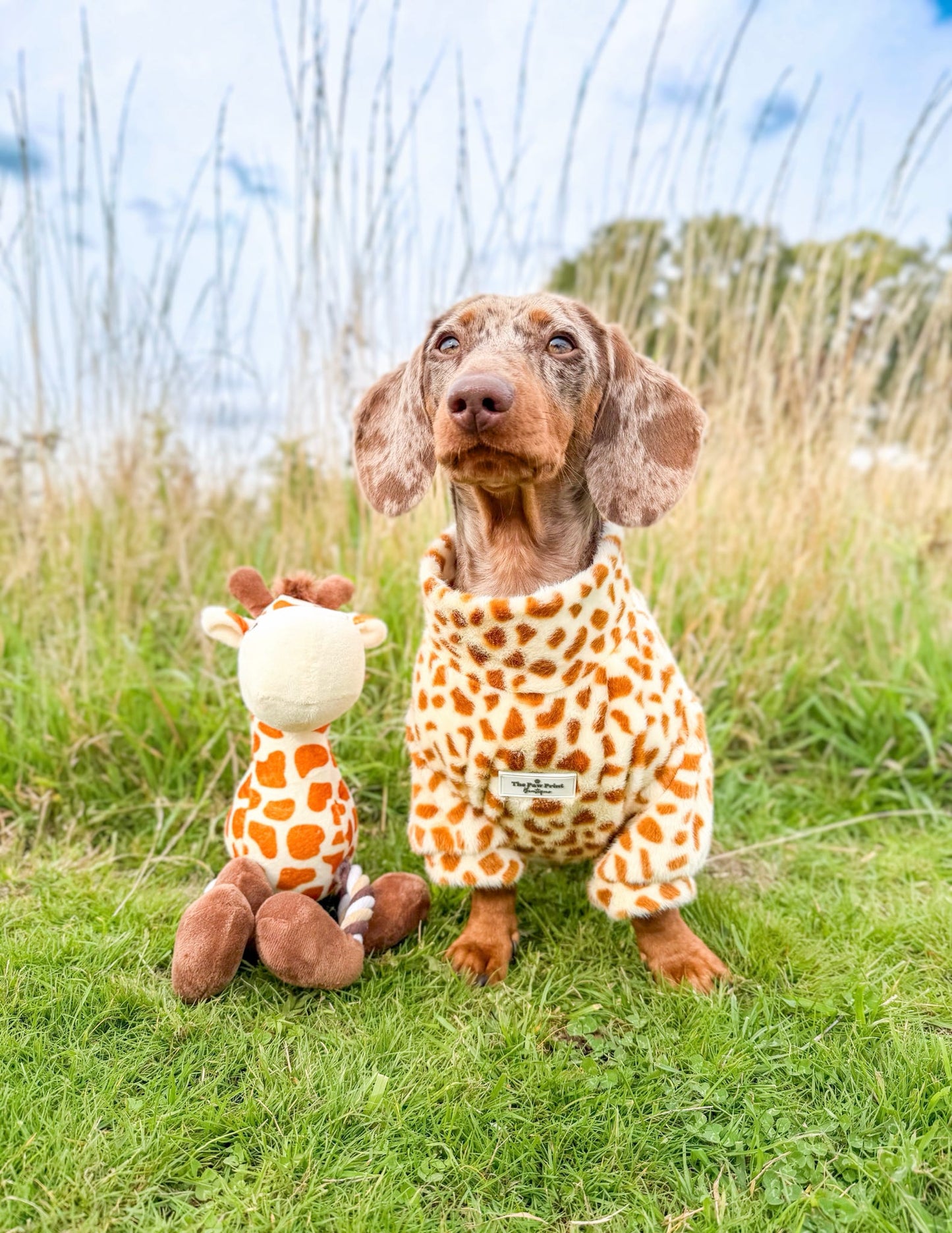 The Giraffe Print Fluffy & Fabulous Fleece