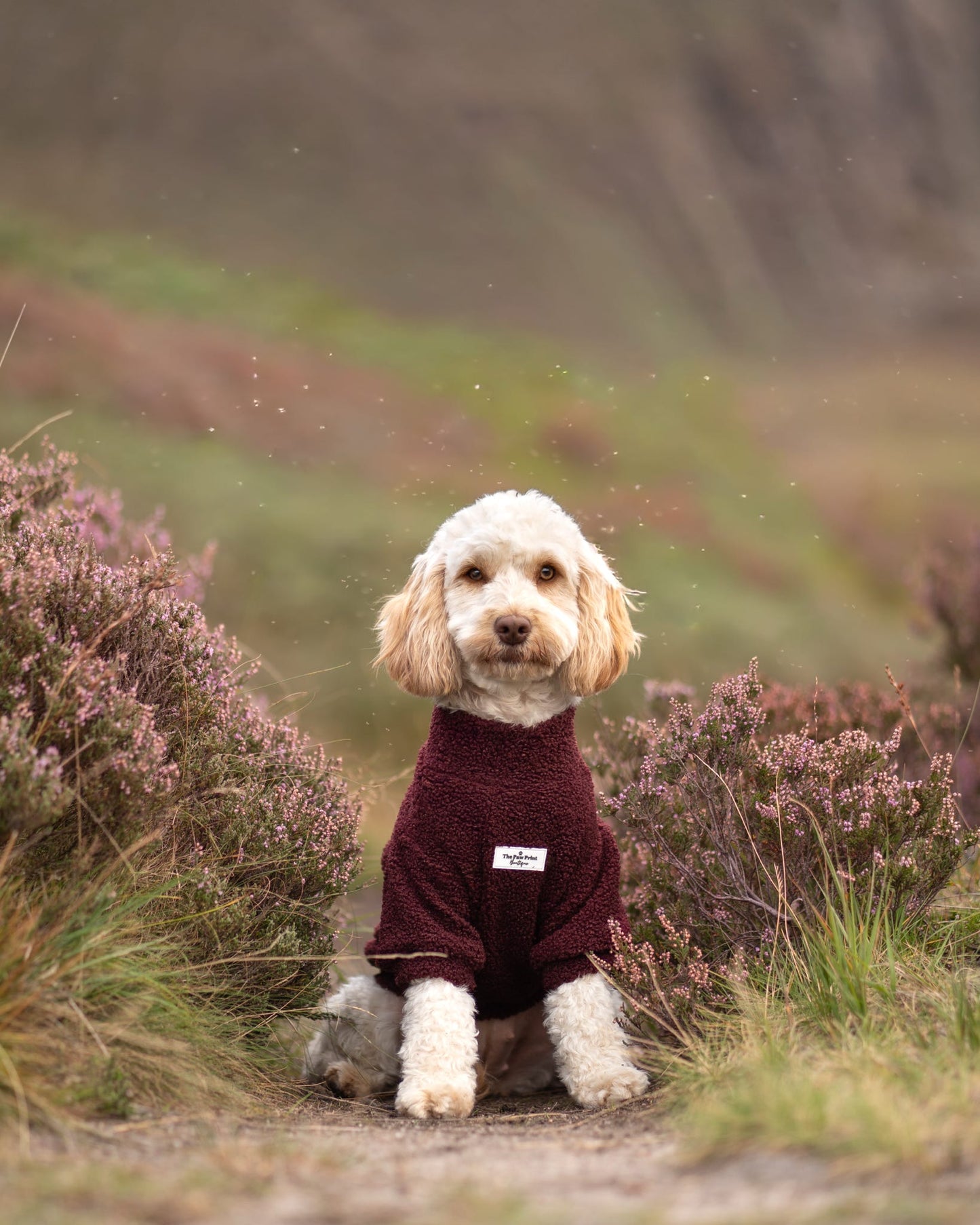 Teddy Fleece - Cherry