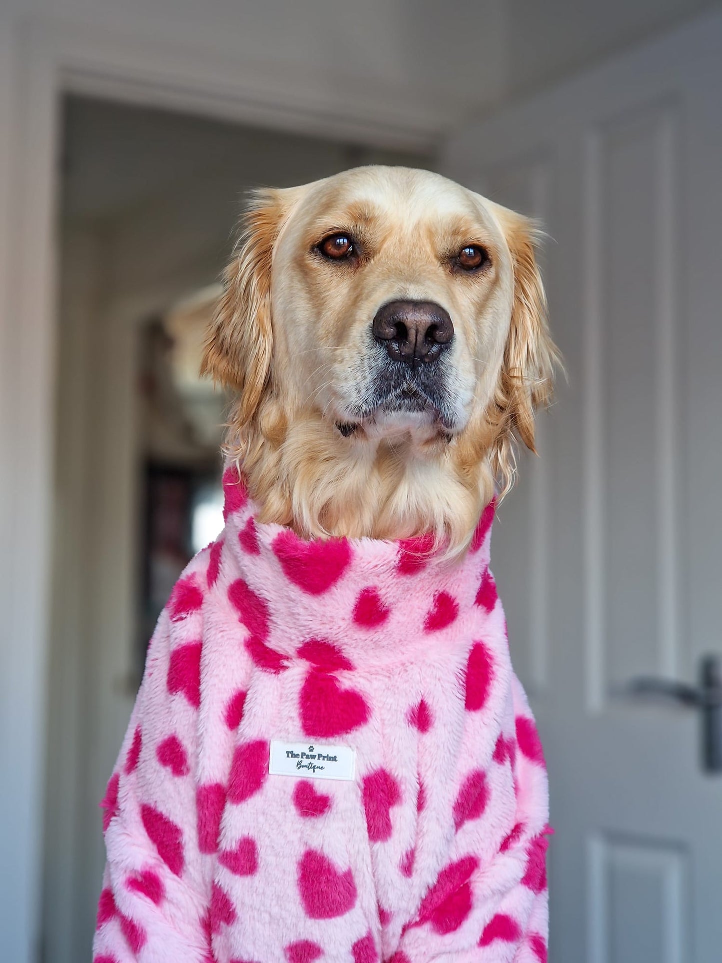 The Love Hearts Fluffy & Fabulous Fleece
