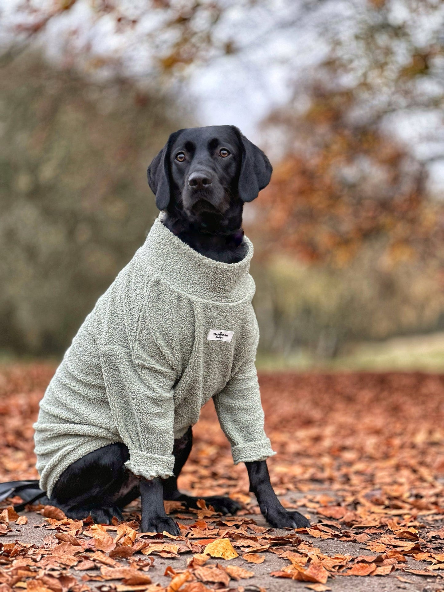 Teddy Fleece - Sage Green
