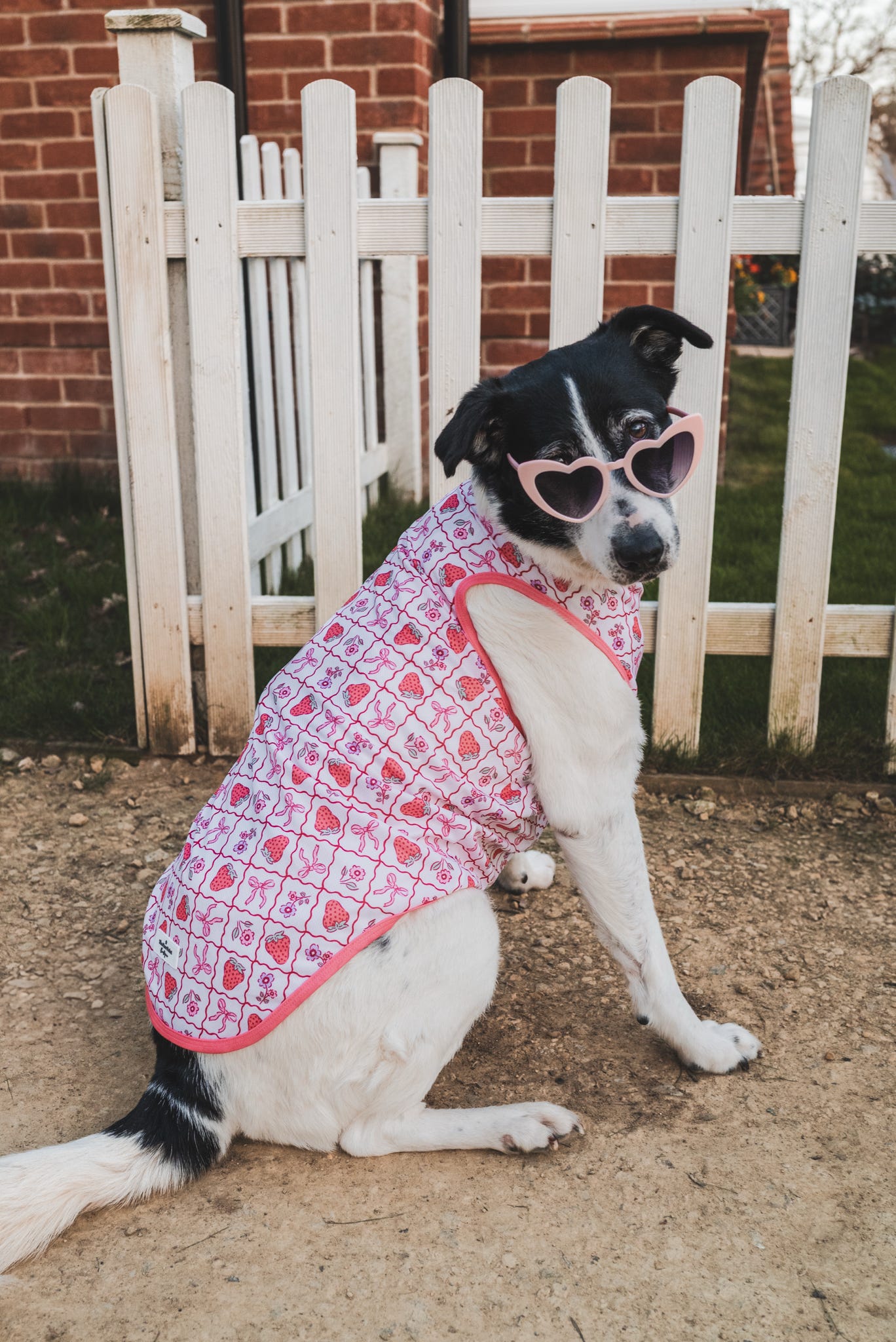 The Bows & Berries Cooling Vest