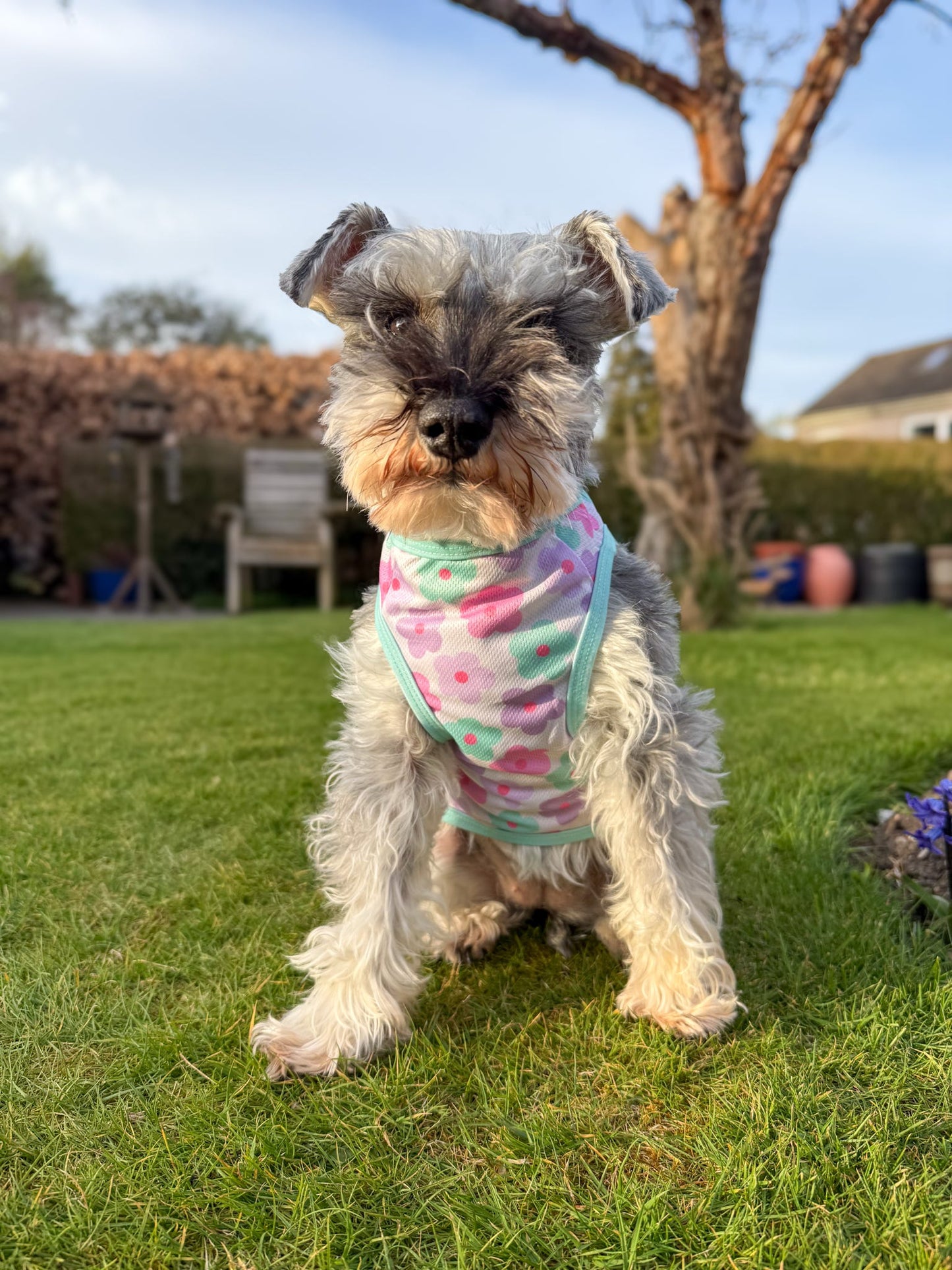 The Minty Meadows / Flower Power Cooling Vest