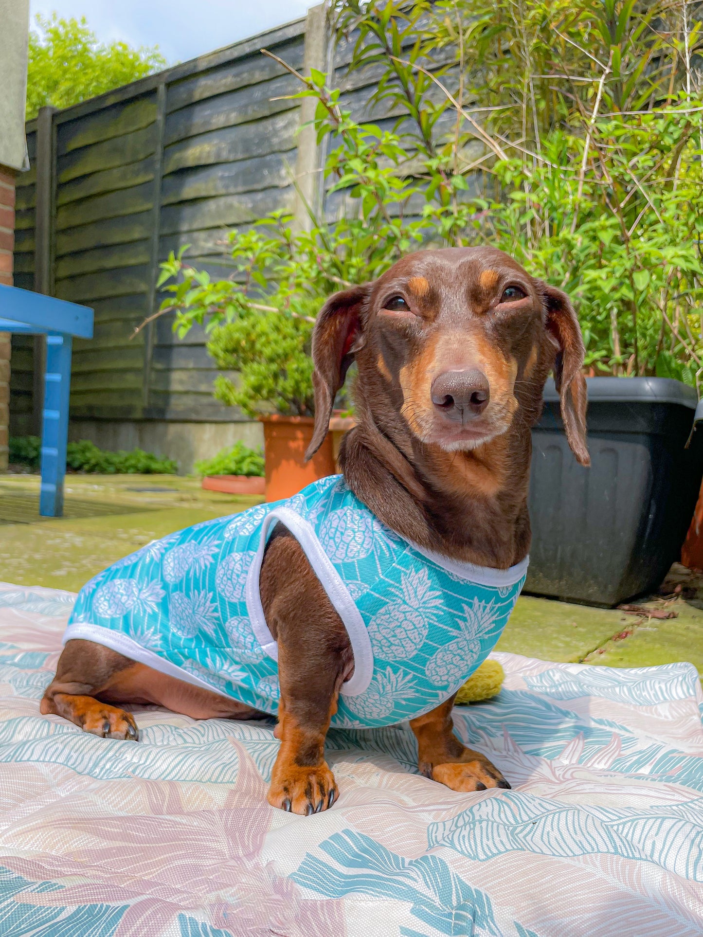 The Pineapple Pawty Cooling Vest