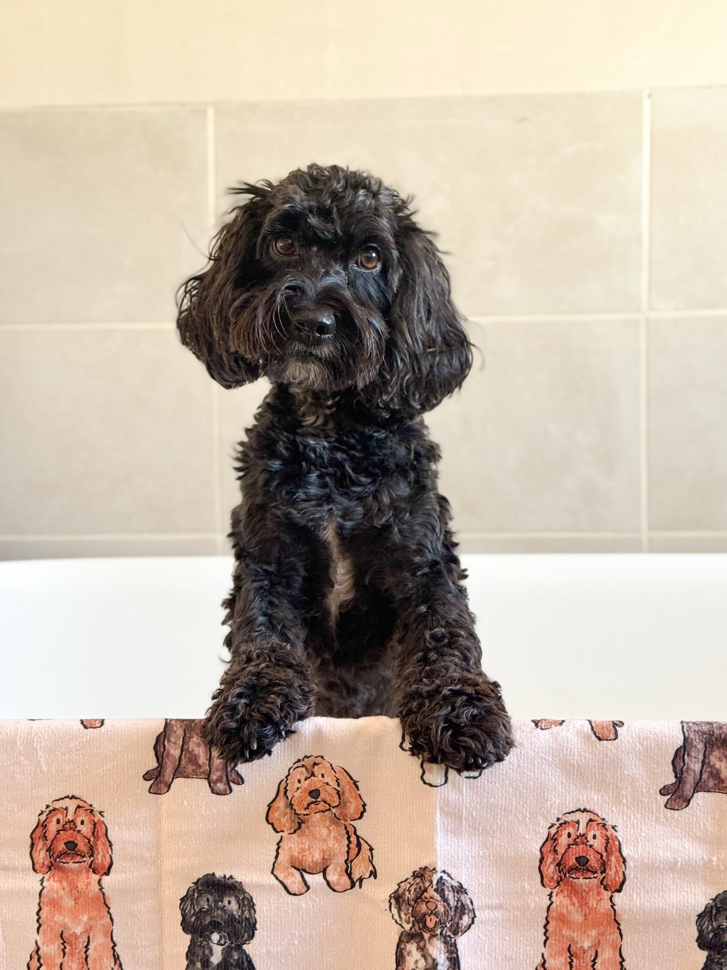 The Oodles & Doodles Dog Towel