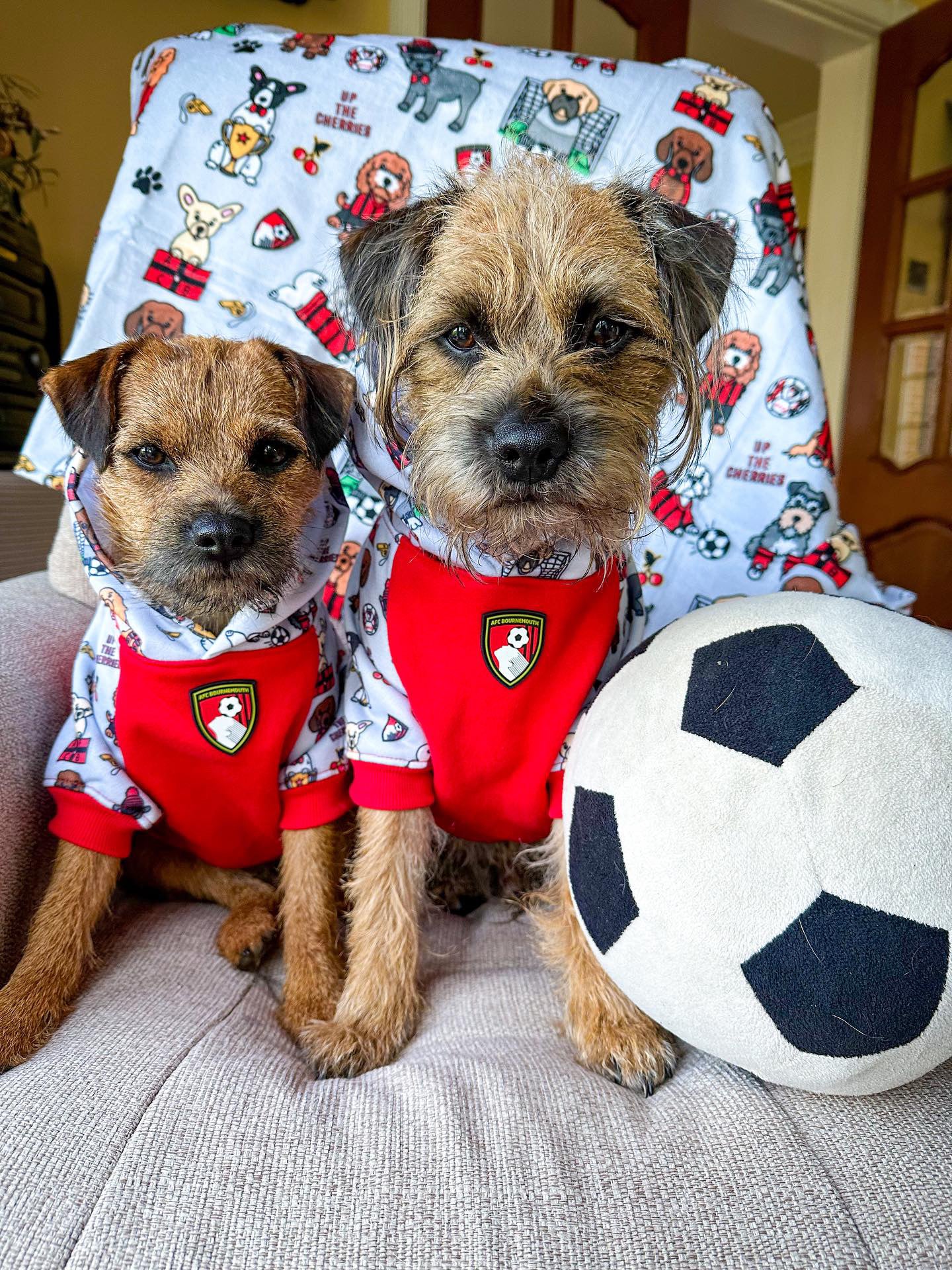 The AFC Bournemouth Dog Hoodie