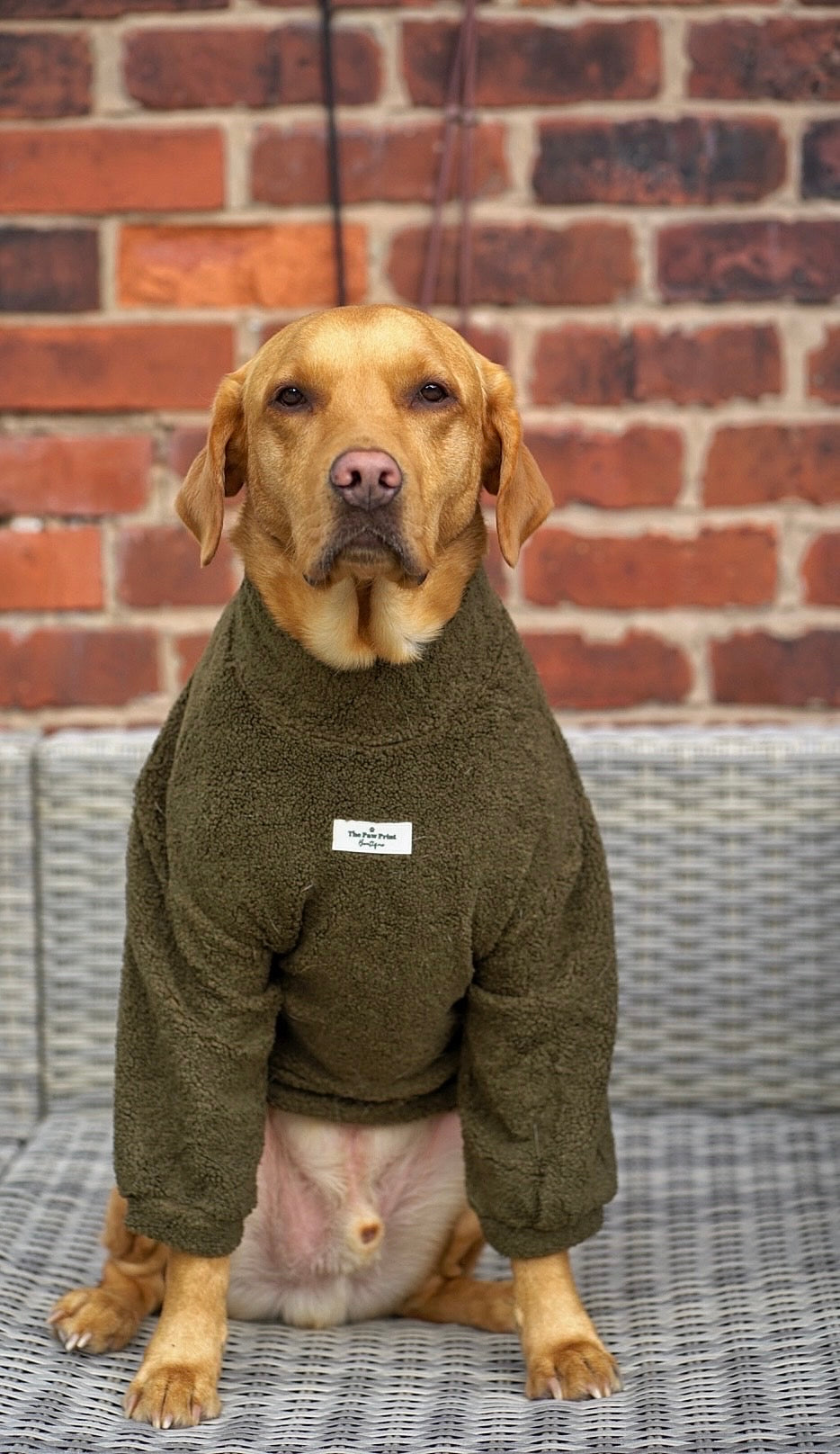 Teddy Fleece - Khaki