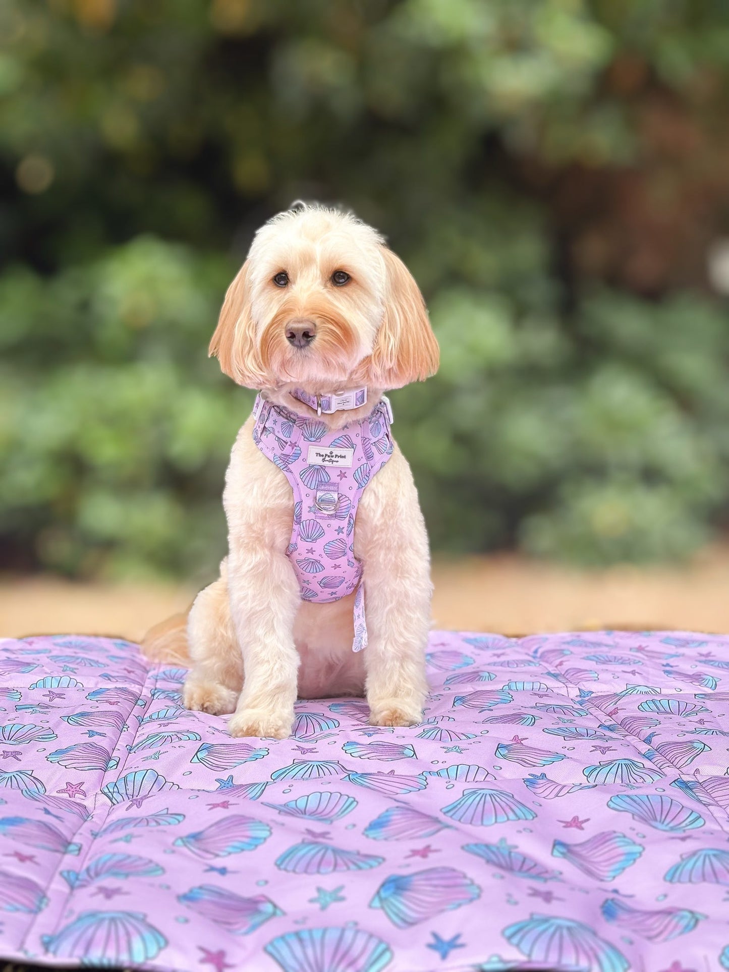 Mermaids Tails Picnic Mat