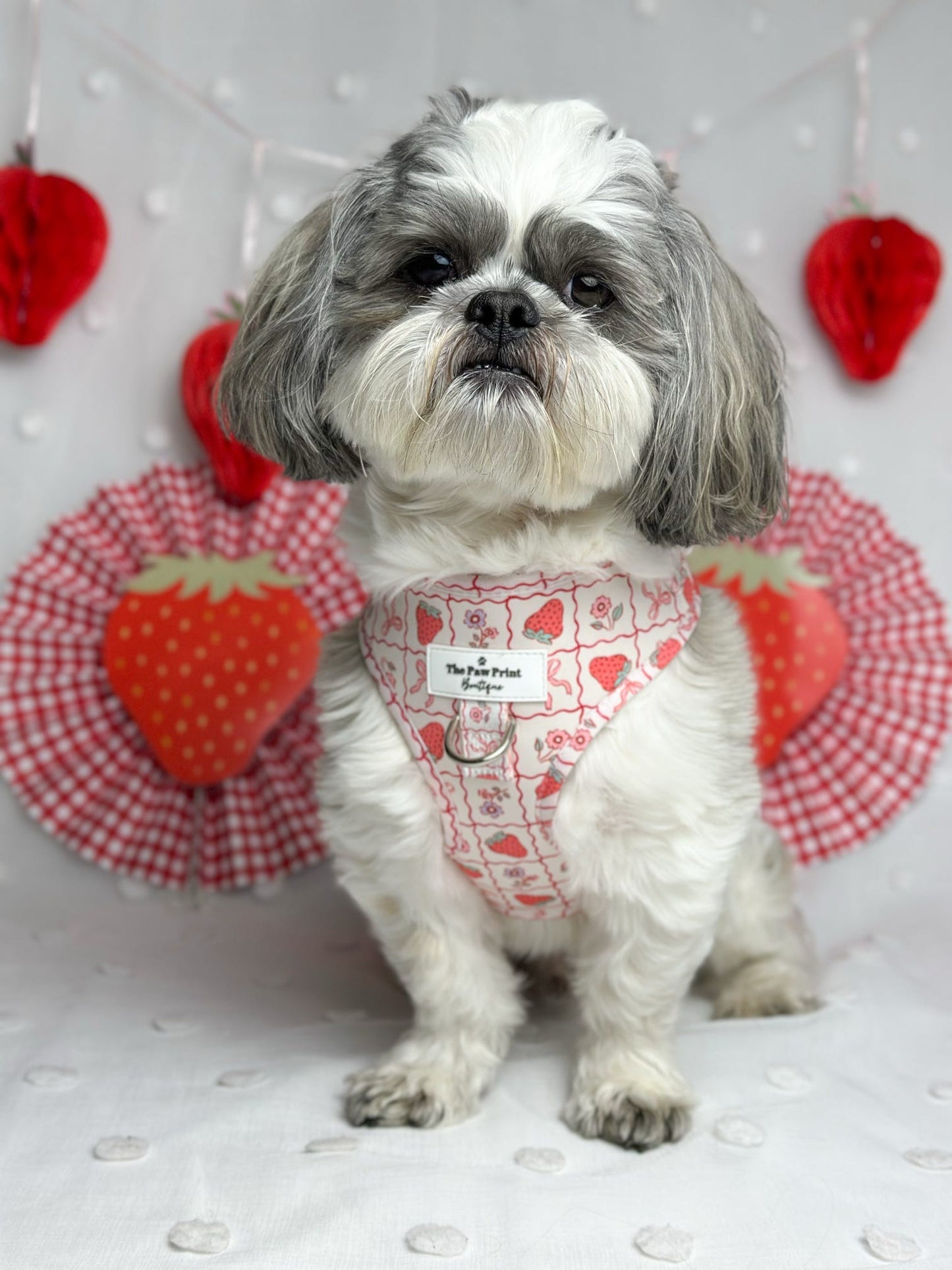The Bows & Berries Adjustable Harness