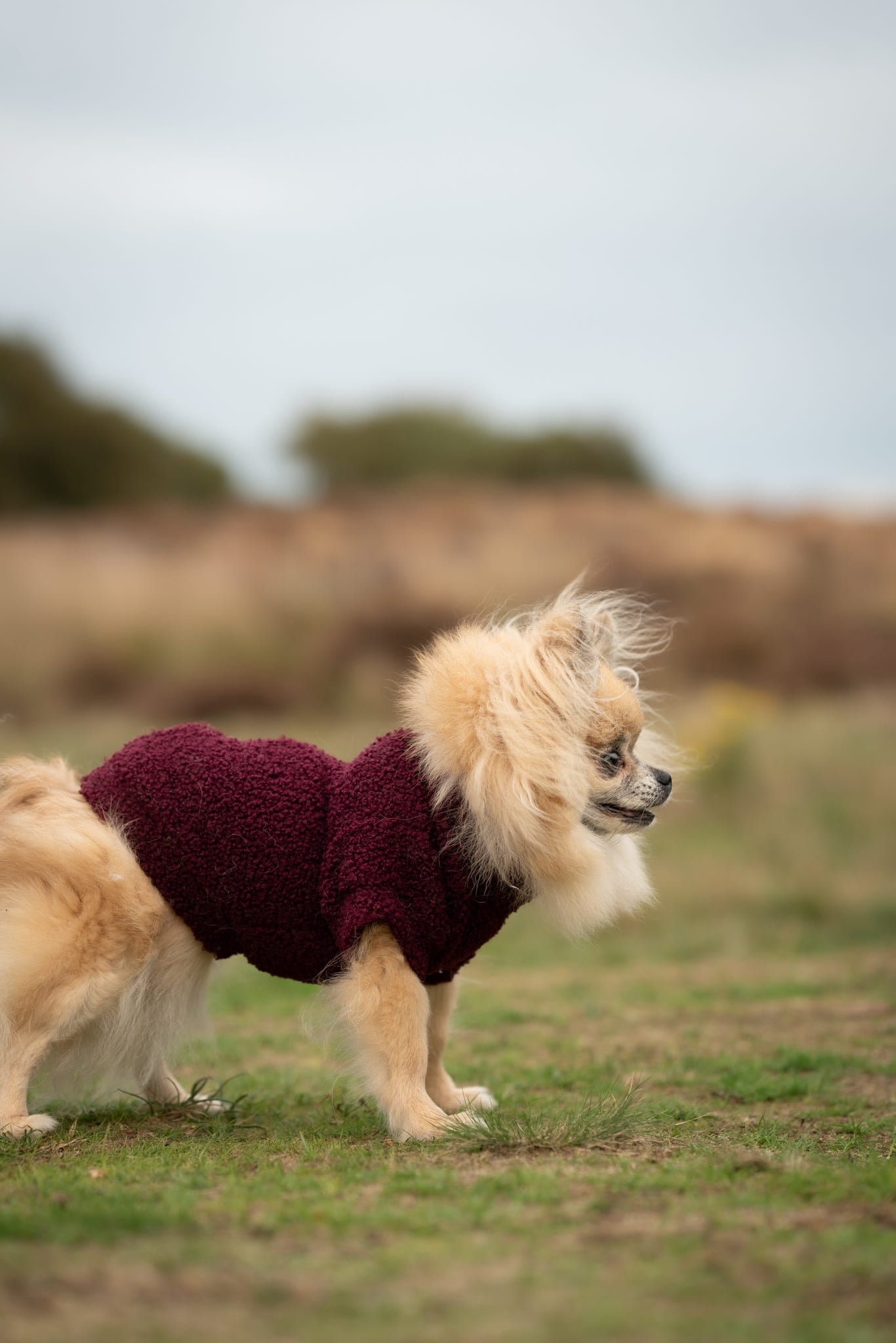Teddy Fleece - Cherry