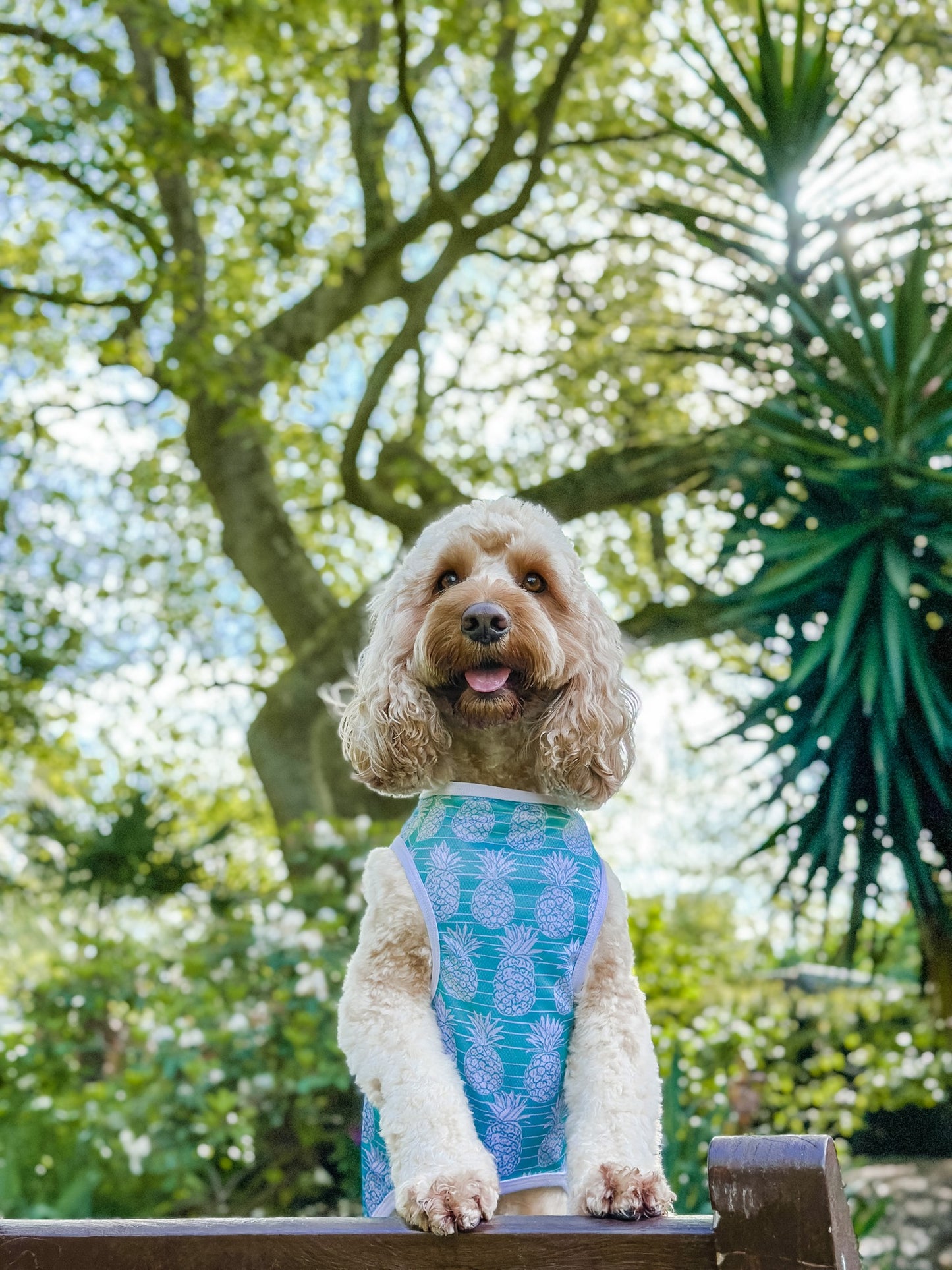 The Pineapple Pawty Cooling Vest