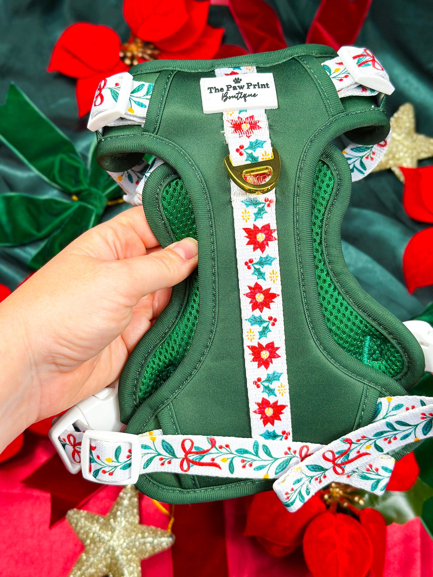 Festive Traditions Adventure Paws Harness