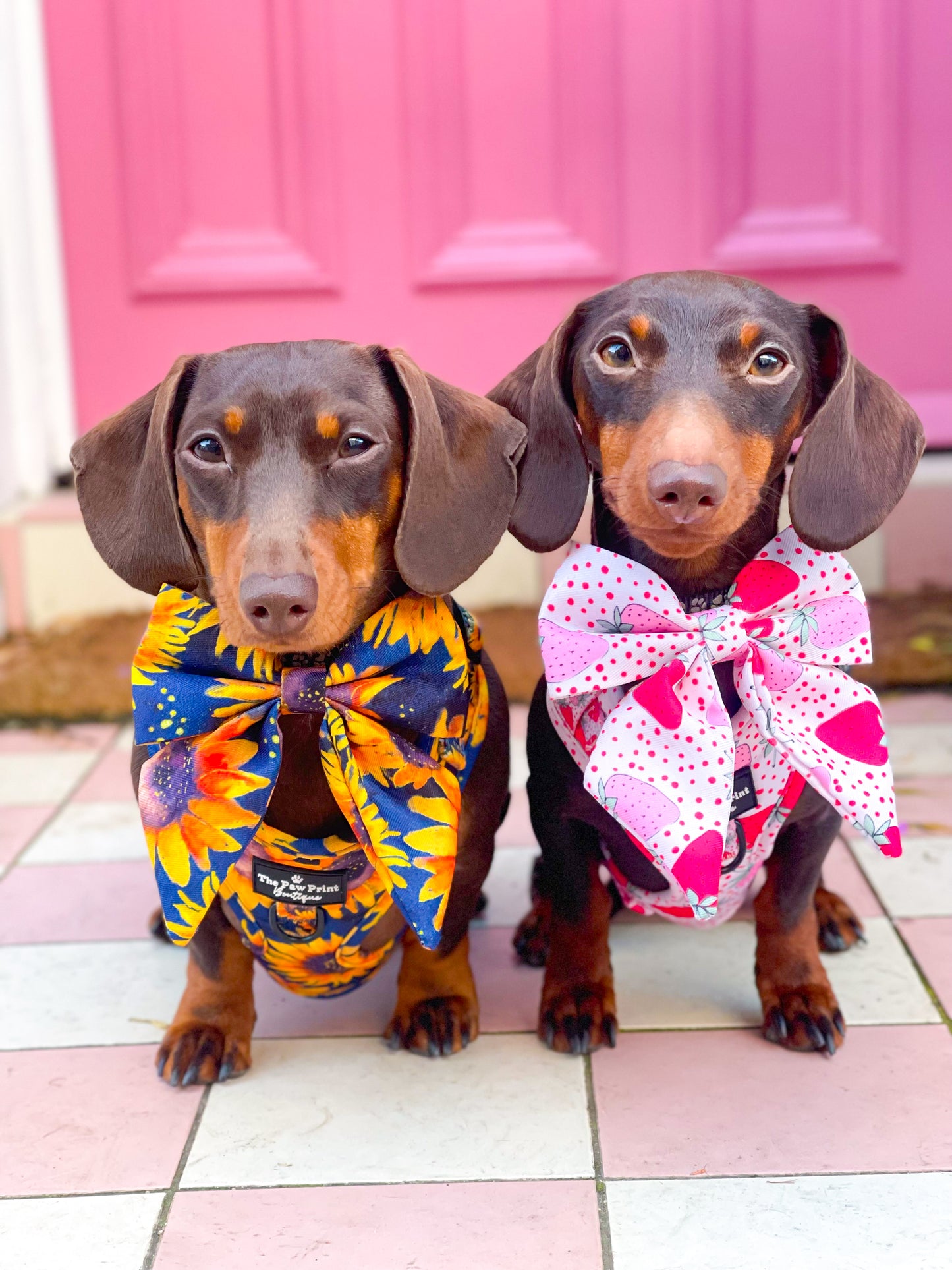 The Sunflower Field Bow Tie