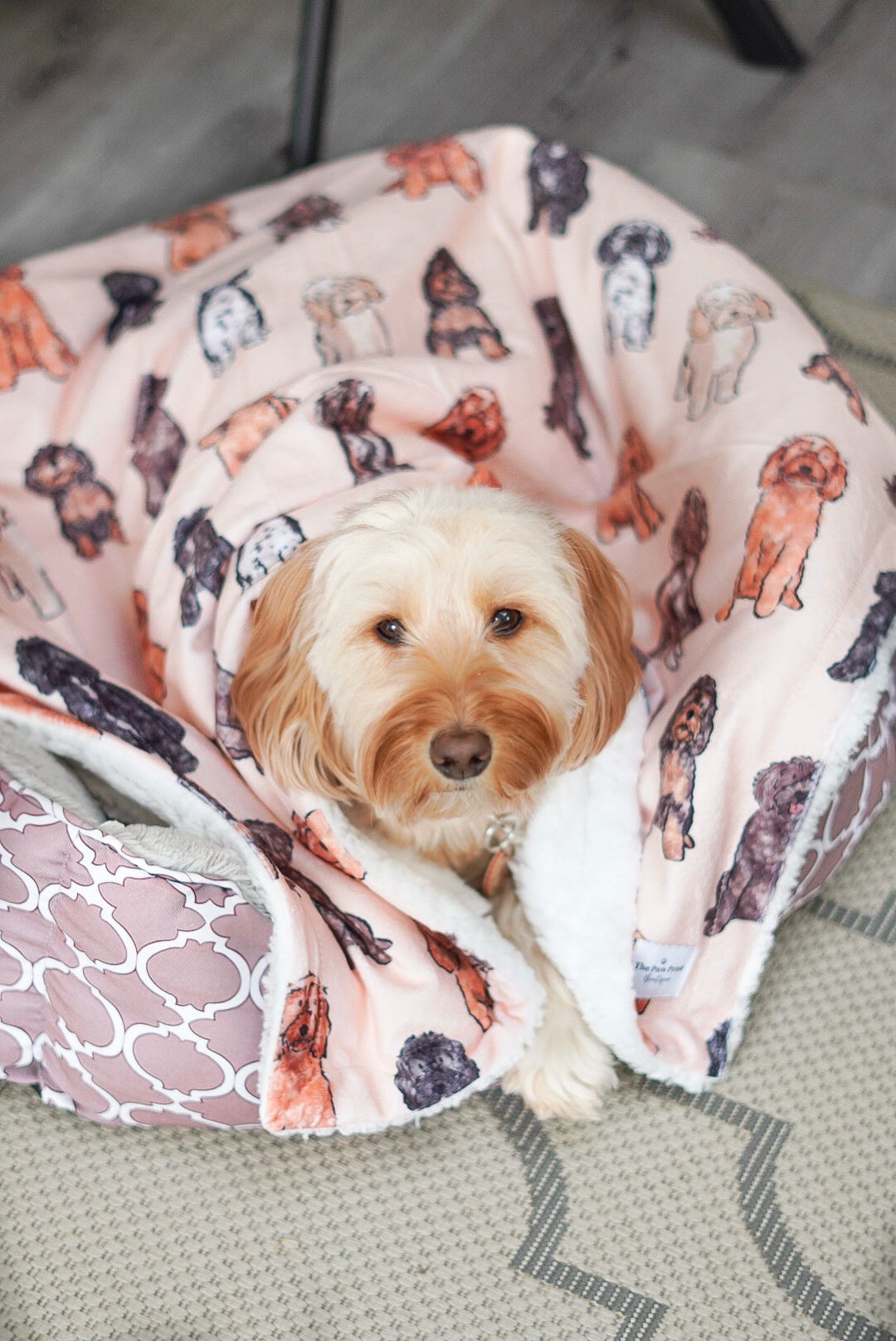 The Oodles & Doodles Dog Blanket