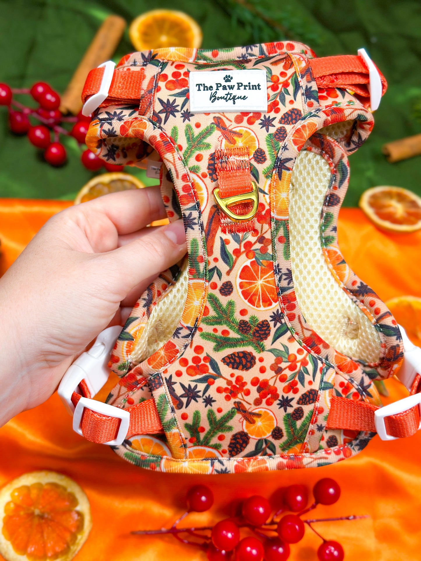 Winter Scents Adventure Paws Harness