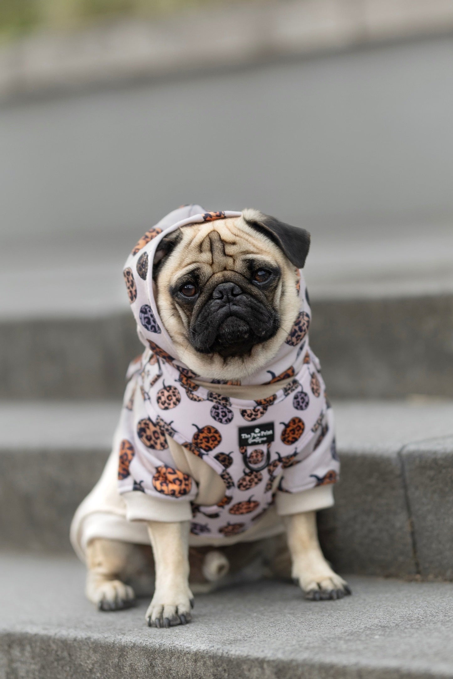 The Leopawrd Pupkins Adjustable Harness