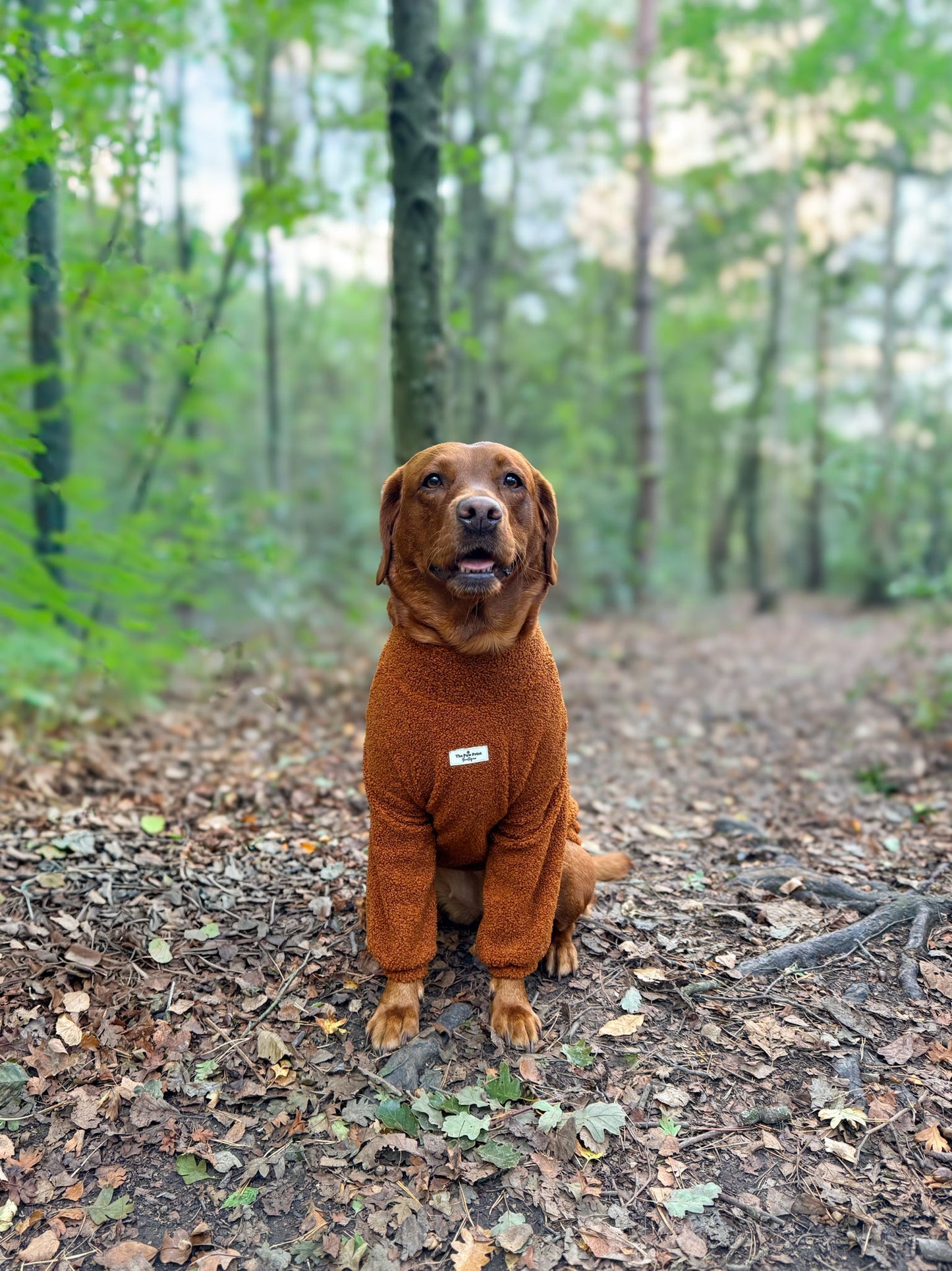 Teddy Fleece - Gingerbread