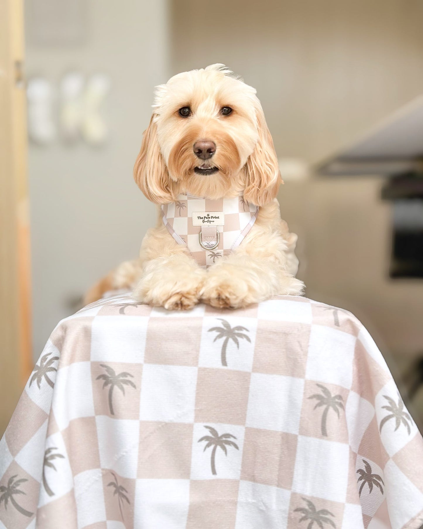 Palm Spring Beach Towel