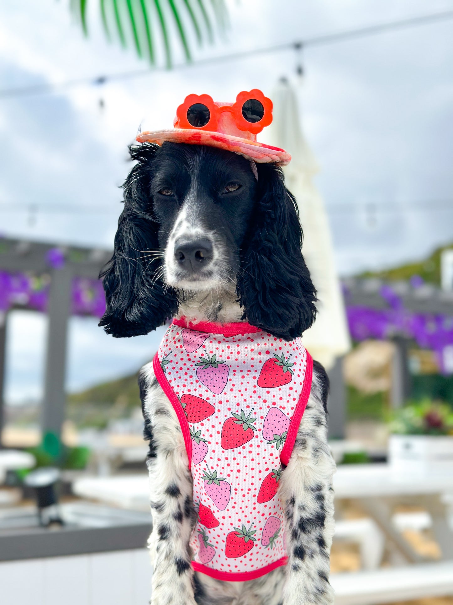 The Sweet Strawberries Cooling Vest