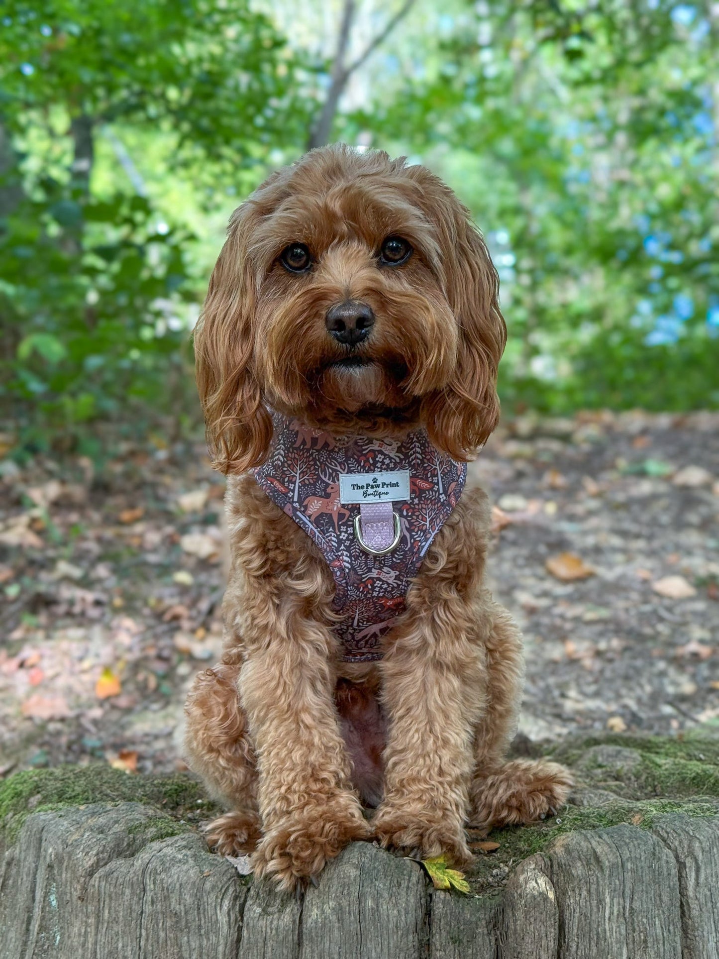 Woodland Wilderness Adjustable Harness