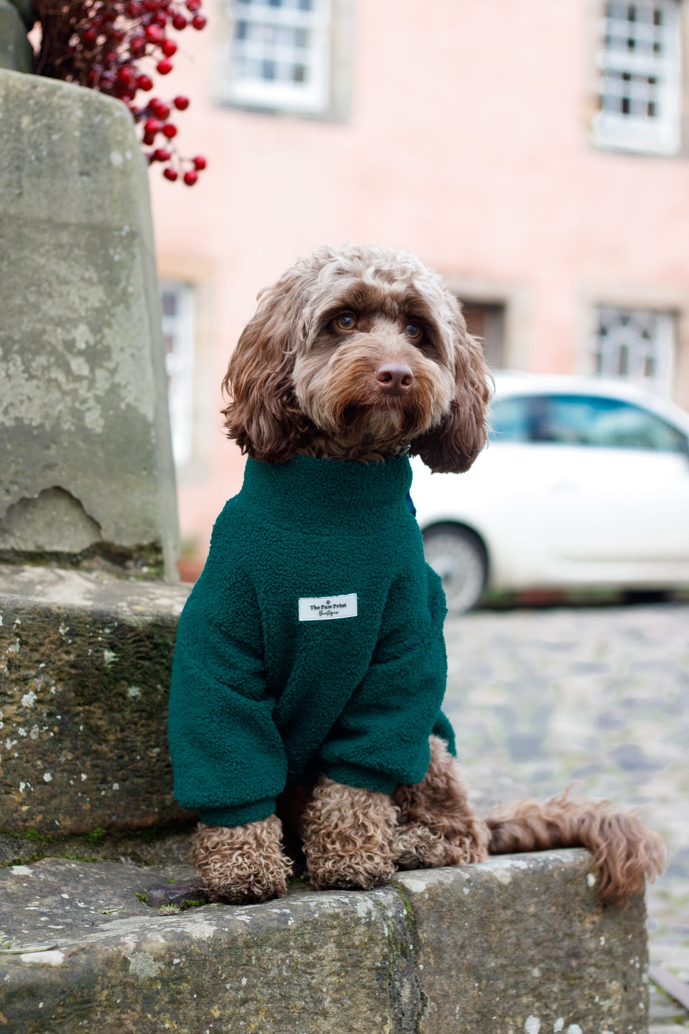 Teddy Fleece - Forest Green