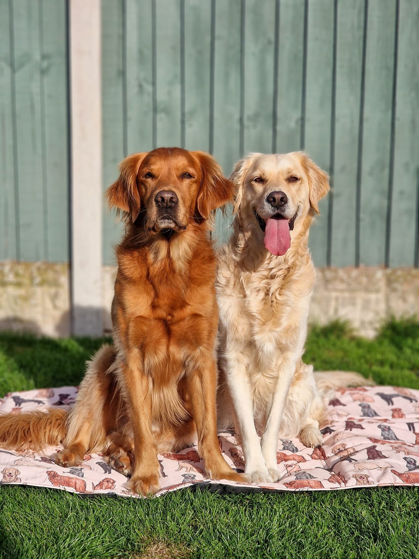 The Labrador / Retriever Travel Mat