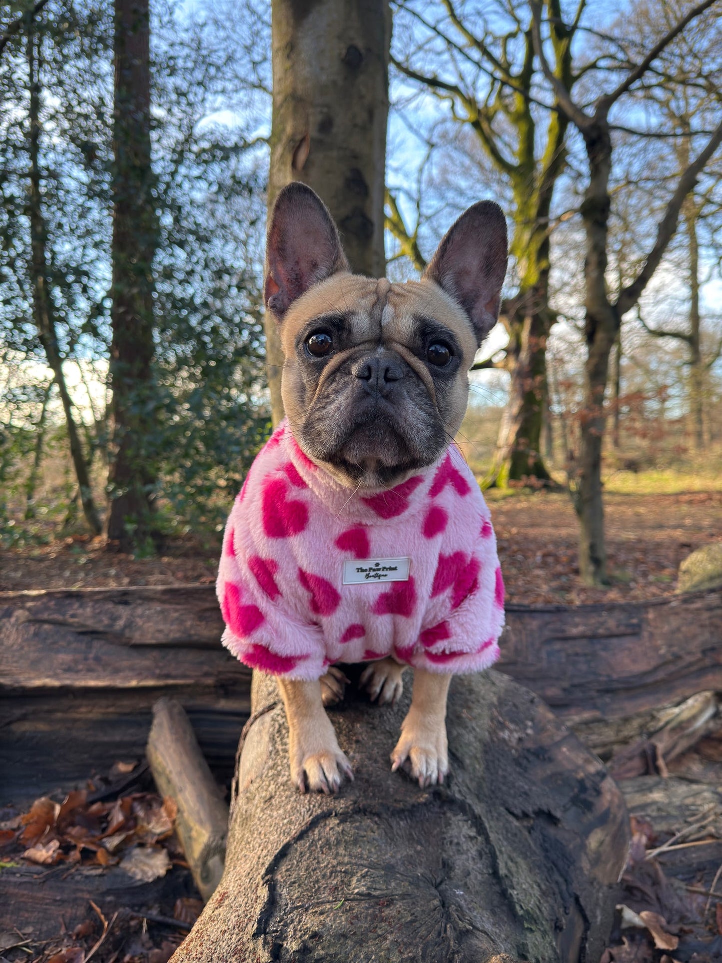 The Love Hearts Fluffy & Fabulous Fleece