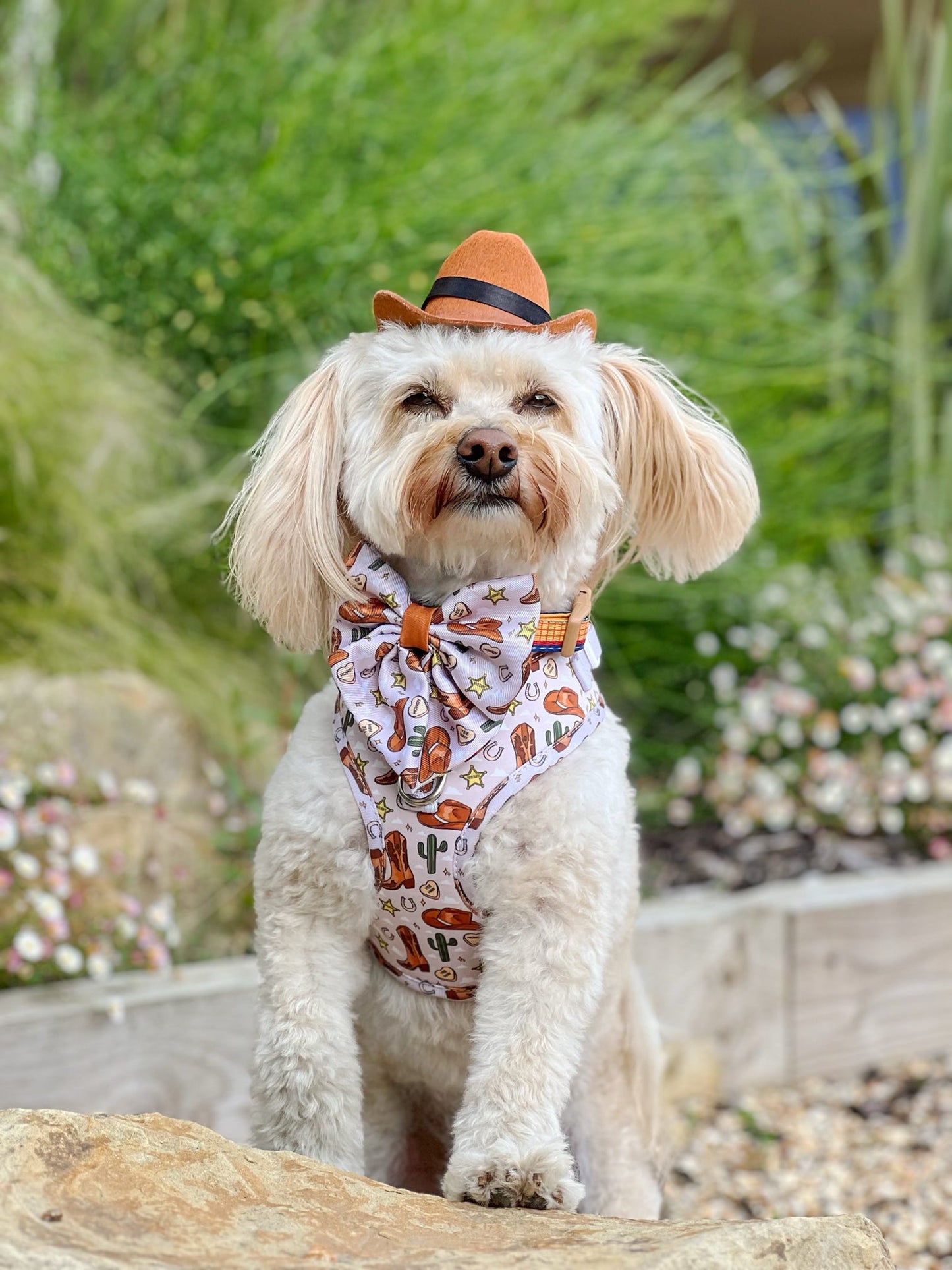 The Howdy Pawtner Adjustable Harness