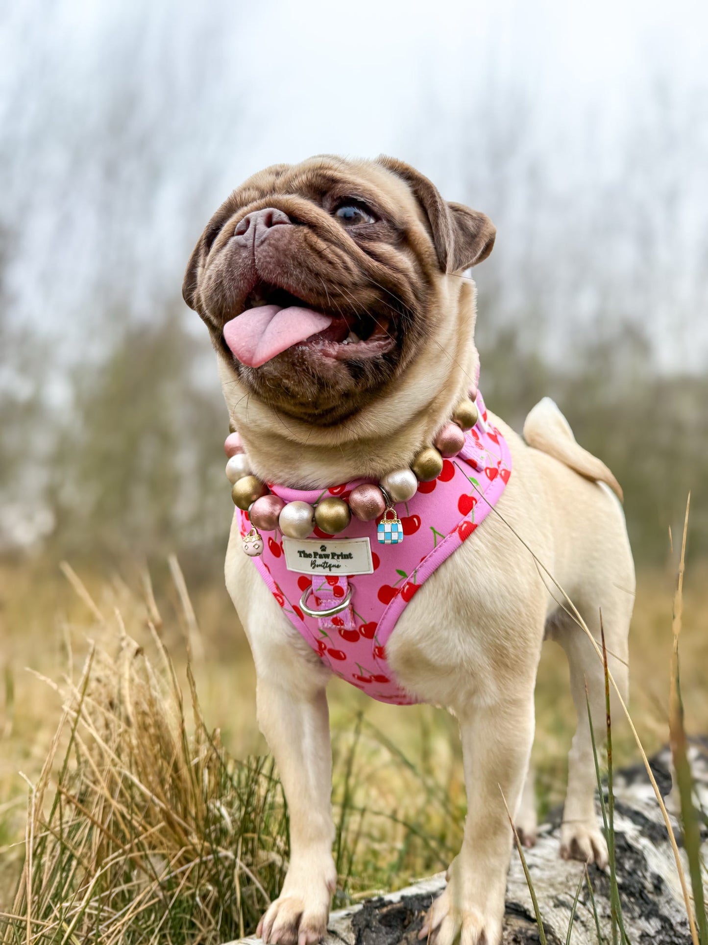 The Cherry on Top Adjustable Harness