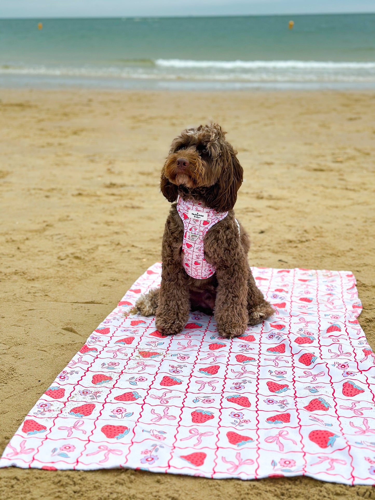 Bows & Berries Beach Towel