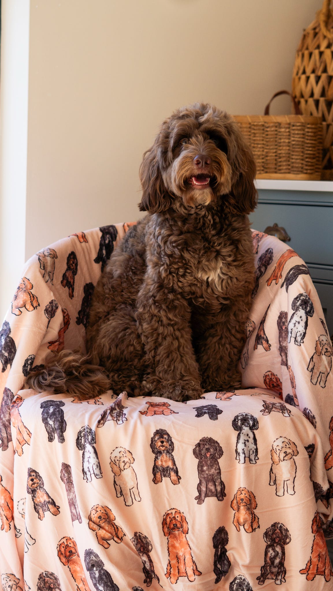 The Oodles & Doodles Human Blanket