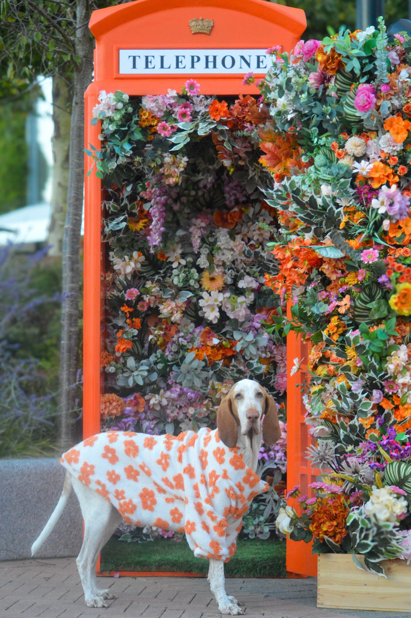 Orange Blossom Floral Fleece