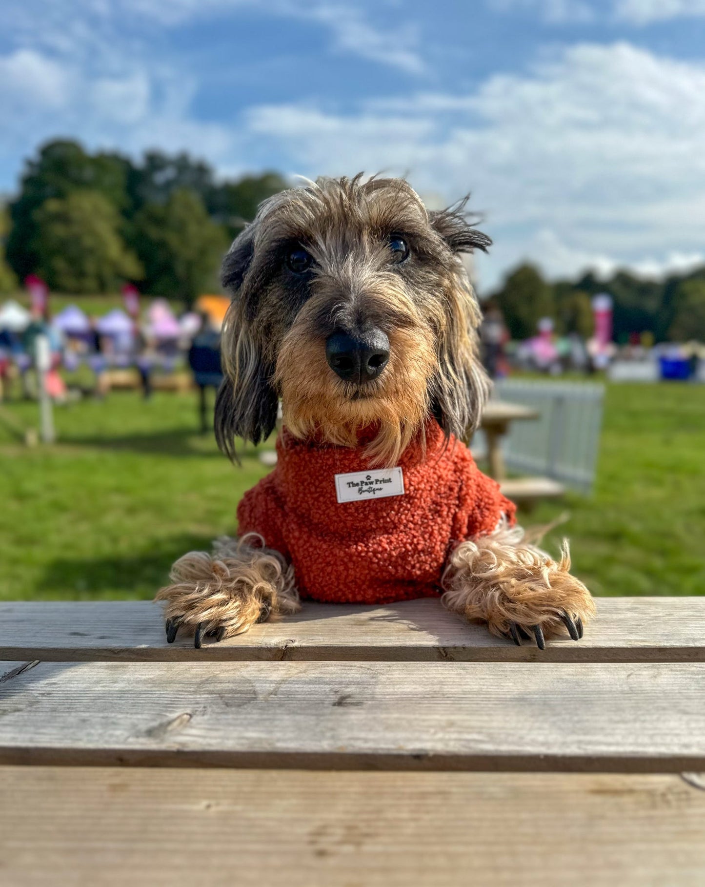 Teddy Fleece - Burnt Orange