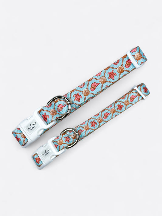 She sells Seashells by the YEEHAW Collar