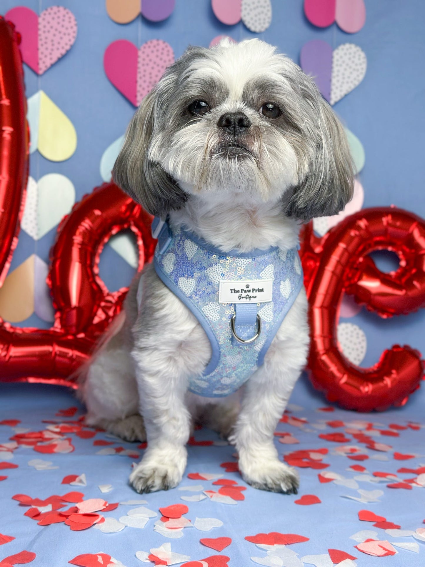 The Sassy in Sequins - Baby Blue Adjustable Harness