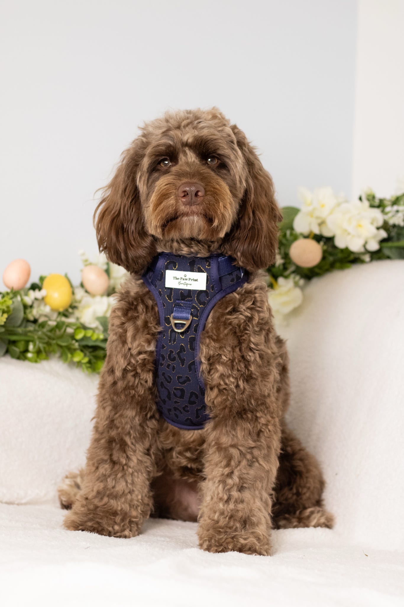 The Luxe Leopard (Navy) Adventure Paws Harness