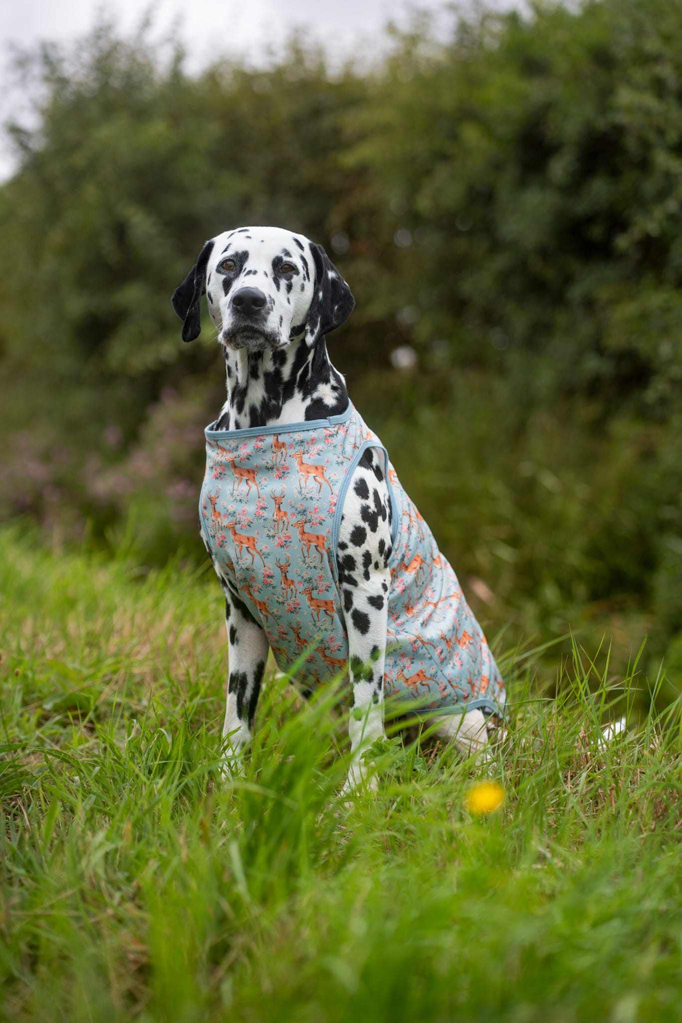 Bambi in Bloom Cooling Vest