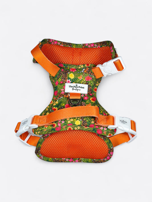 The Tiger who came to TPPB Adventure Paws Harness