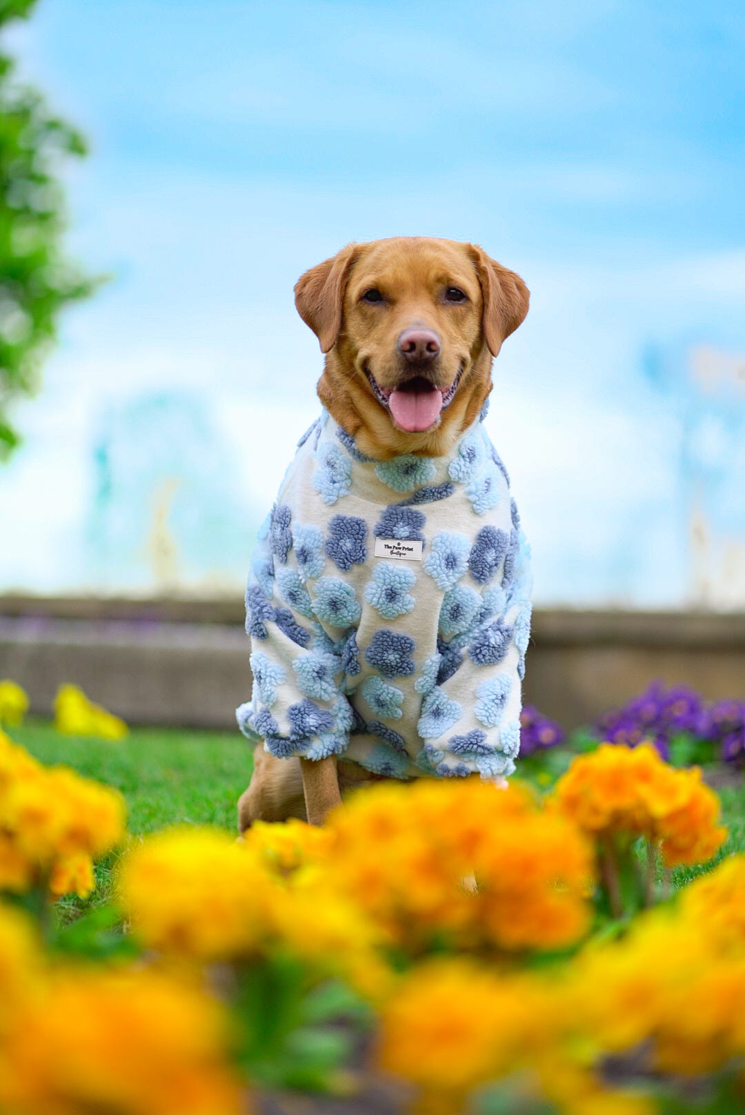 The Bluebell Blue Floral Fleece