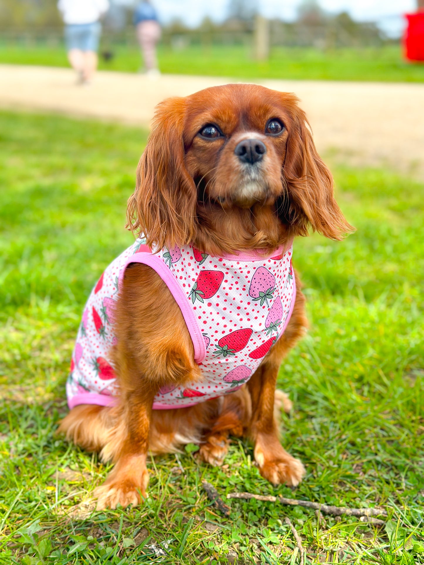 The Sweet Strawberries Cooling Vest