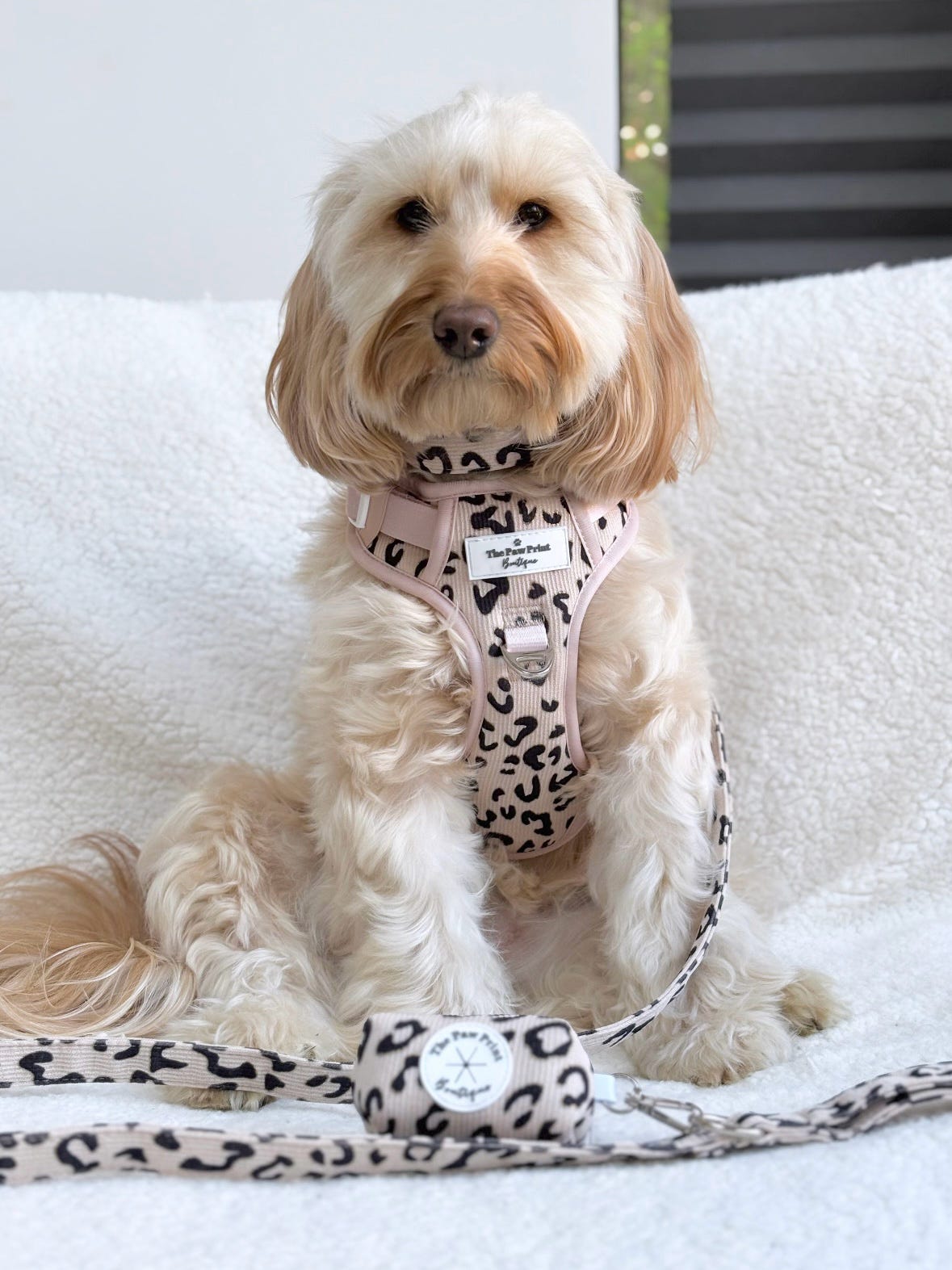 The Luxe Leopard (Beige) Adventure Paws Harness