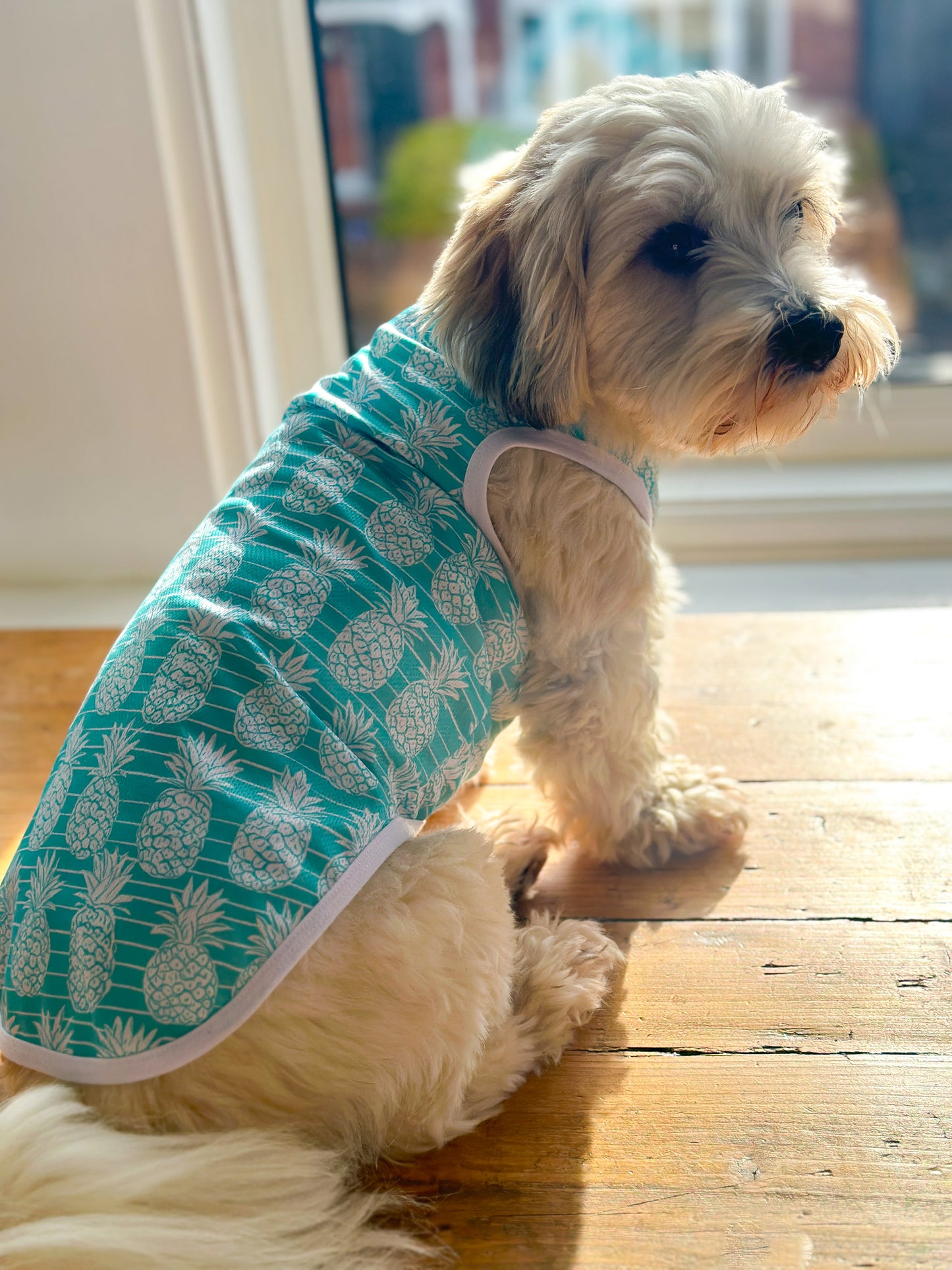 The Pineapple Pawty Cooling Vest