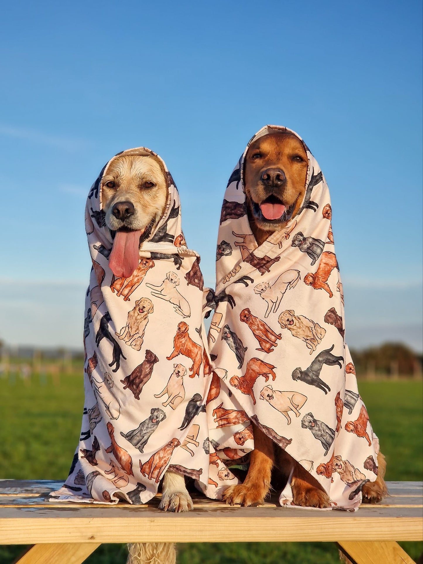 The Labrador / Retriever Dog Towel