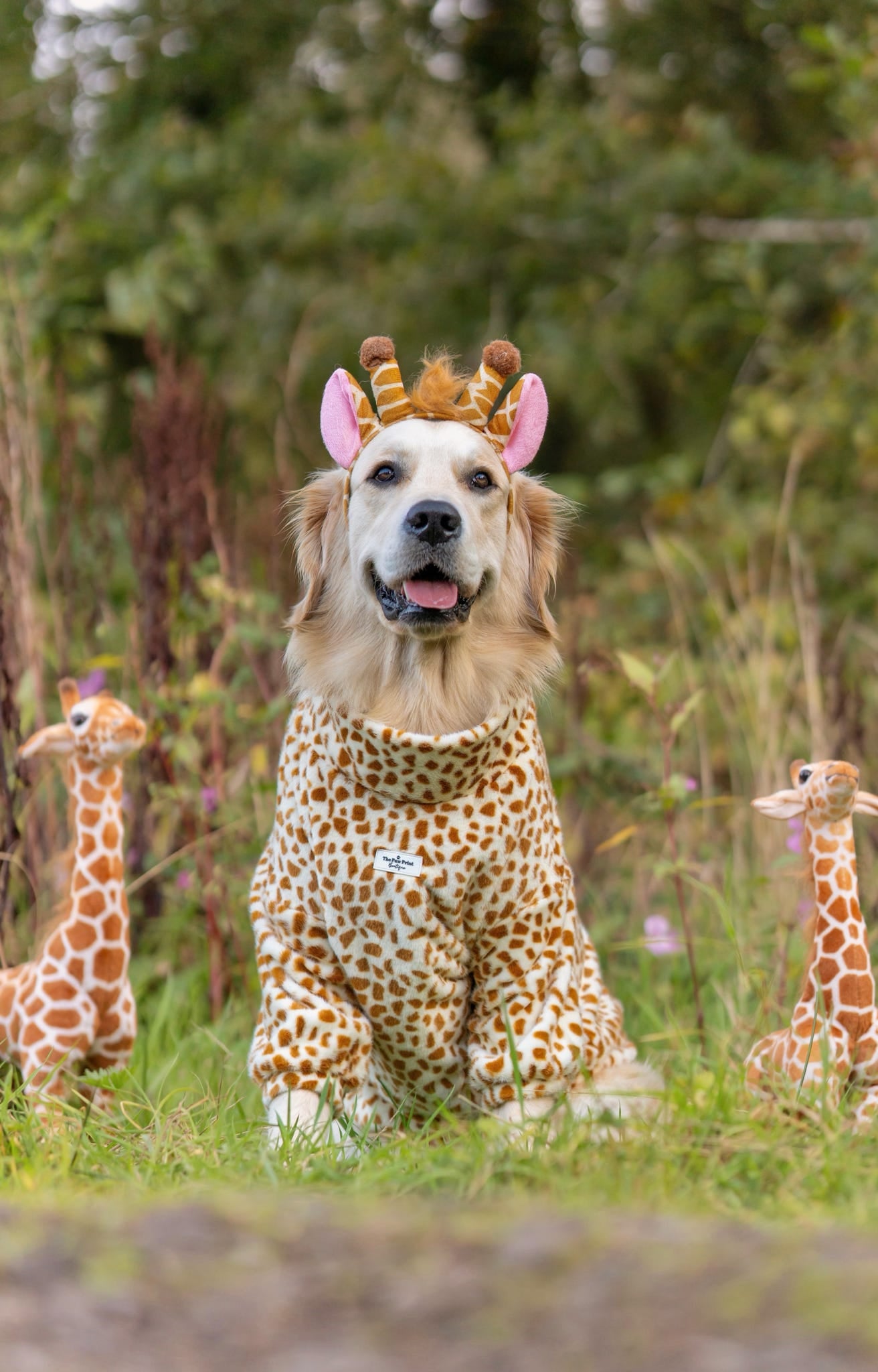 The Giraffe Print Fluffy & Fabulous Fleece