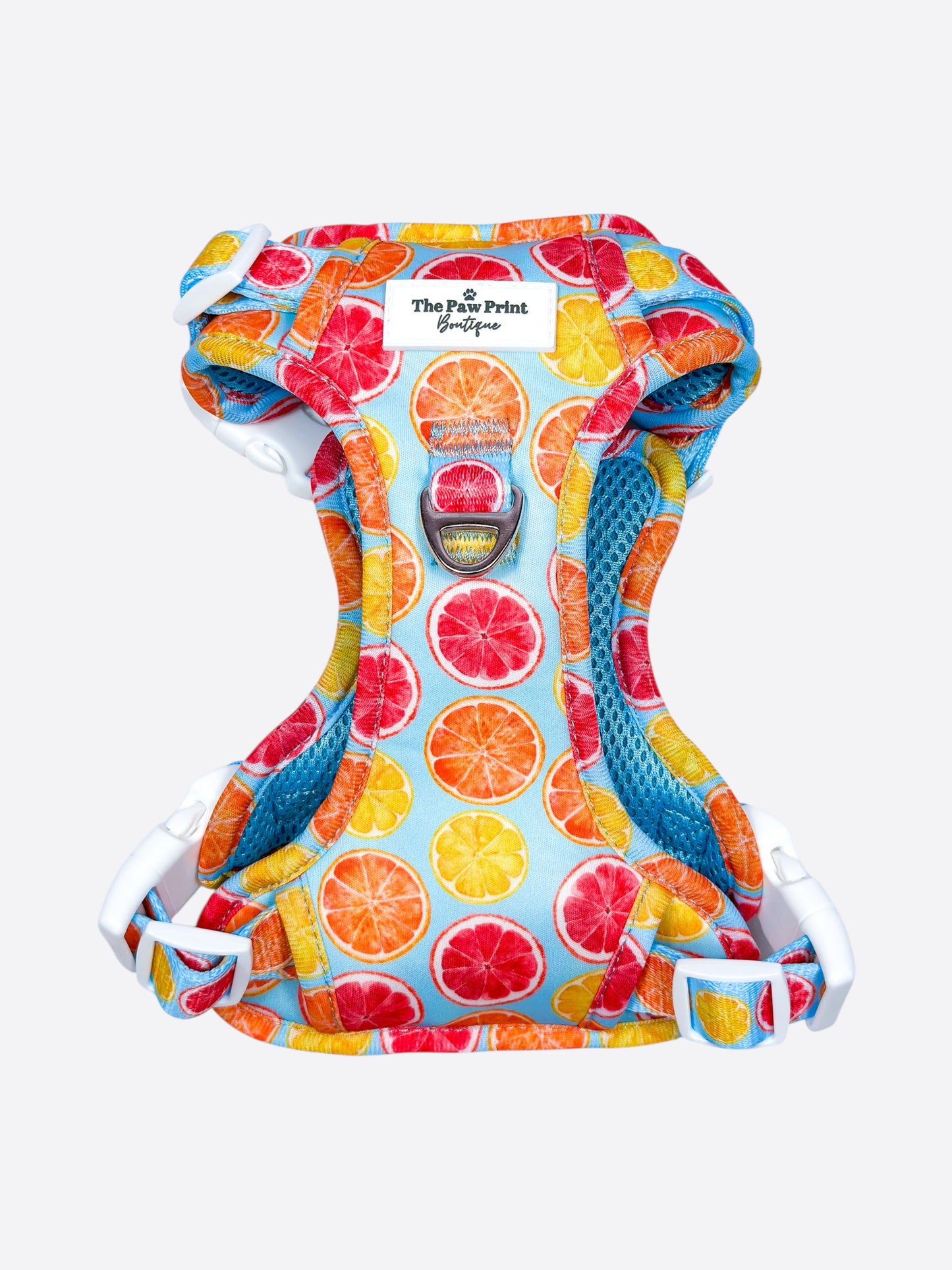 Squeeze the Day Adventure Paws Harness