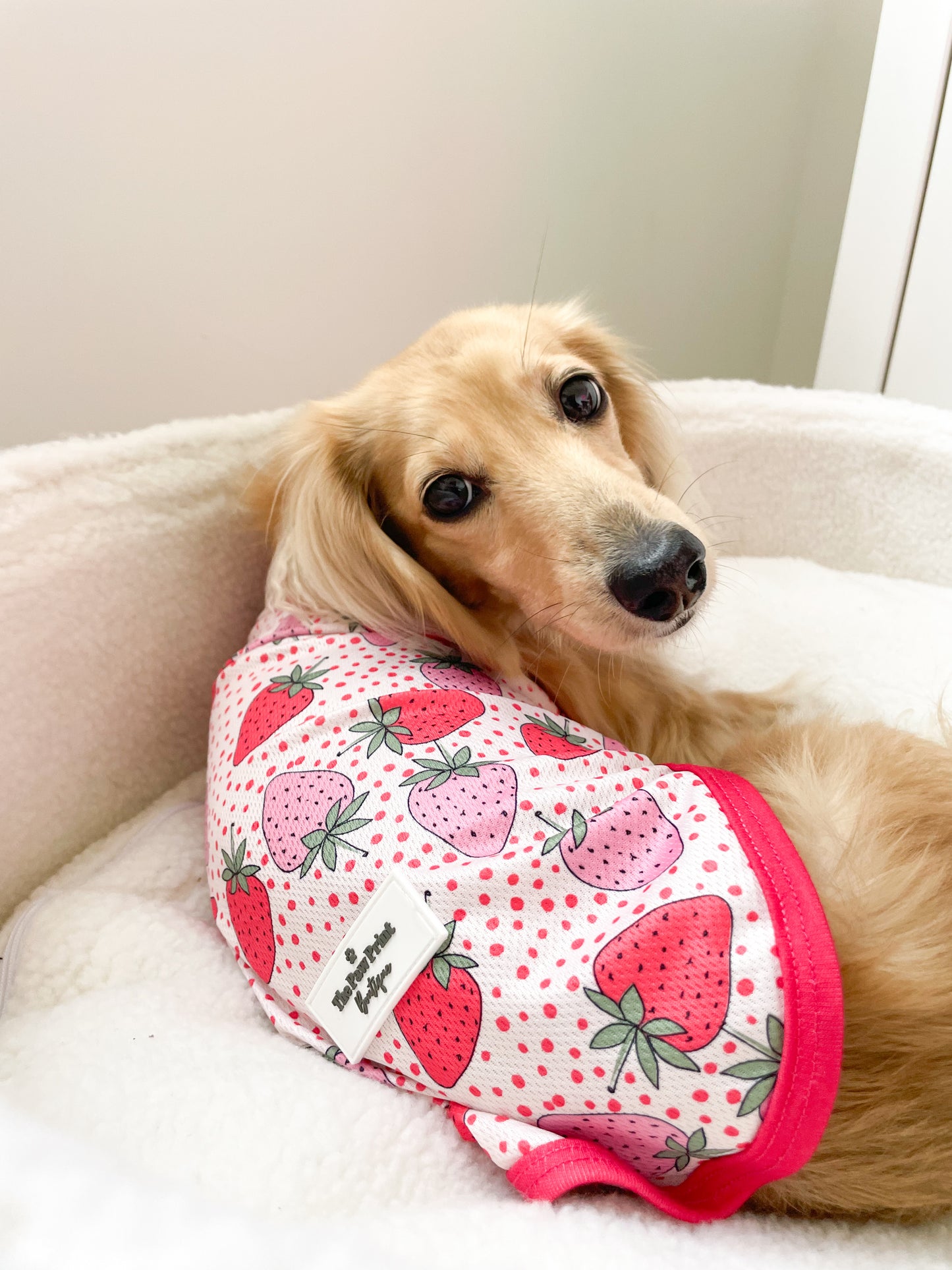 The Sweet Strawberries Cooling Vest