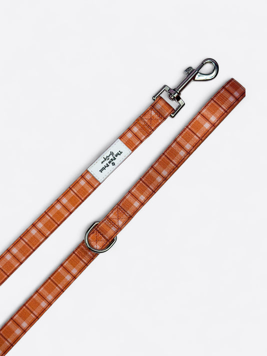 Pooches in Plaid Lead